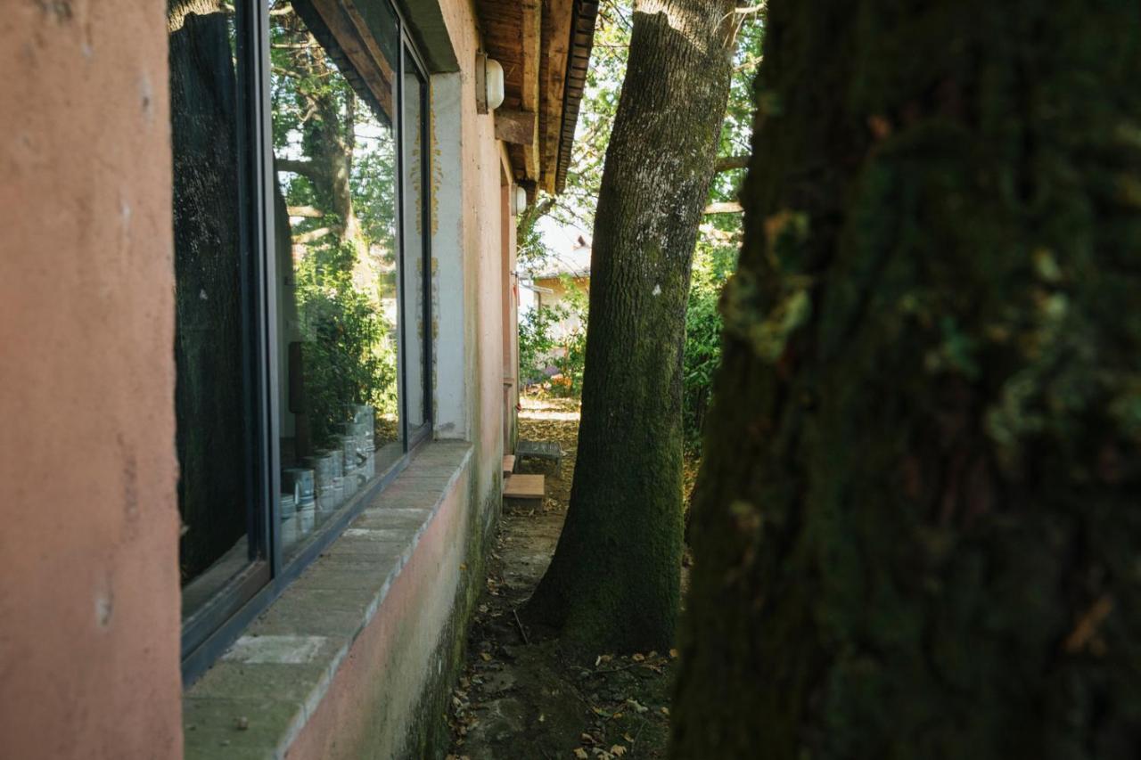 Studio/Flat Rustic Tuscan Marziani 2 Capannori Exteriér fotografie